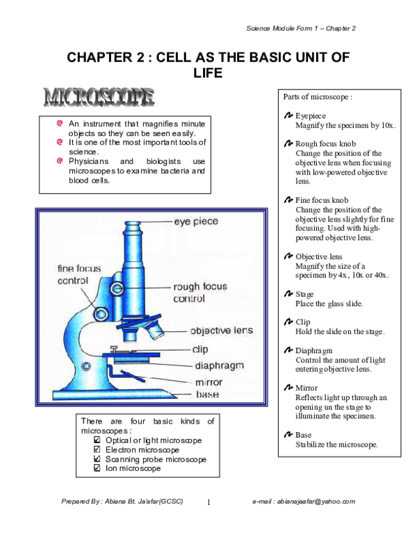 (PDF) CHAPTER 2 : CELL AS THE BASIC UNIT OF LIFE