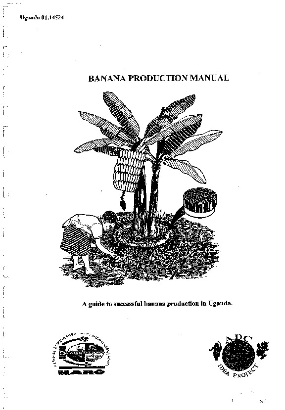 (PDF) BANANA PRODUCTION UAL A guide to successful banana production in