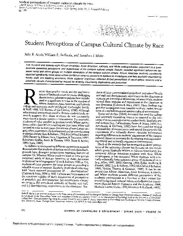 Racial perceptions essay 03 picture