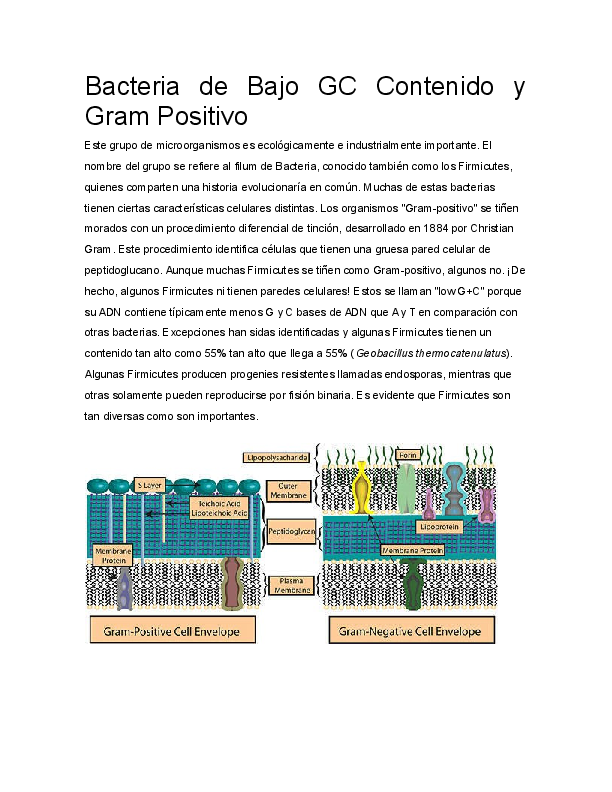 (DOC) Bacteria de Bajo GC Contenido y Gram Positivo