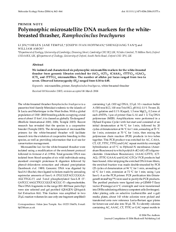 thrasher november 2005