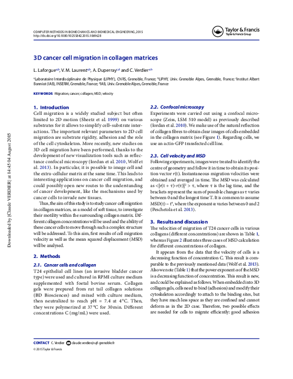 (PDF) 3D cancer cell migration in collagen matrices