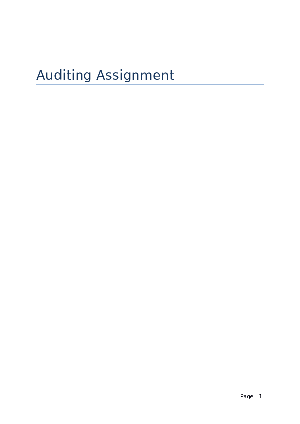 (DOC) Auditing Assignment