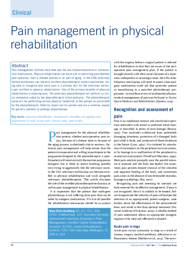 (PDF) Pain Management in Physical Rehabilitation Feb 2016.pdf