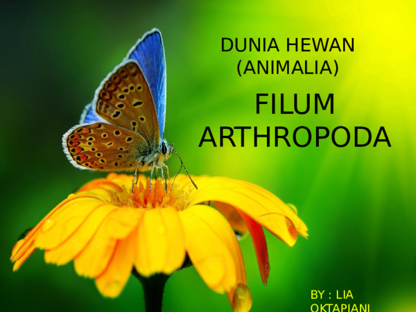 Ppt Arthropoda Pptx