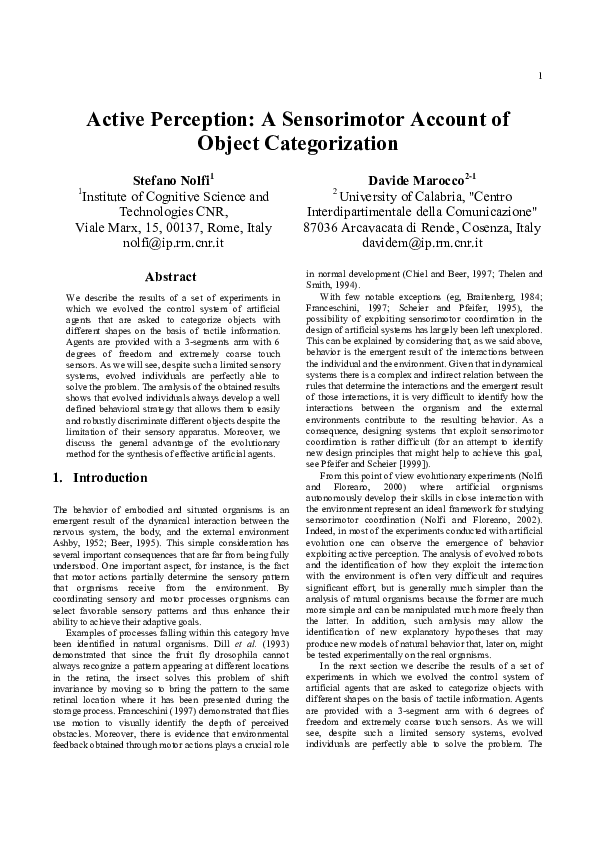 Essay on perception of others image