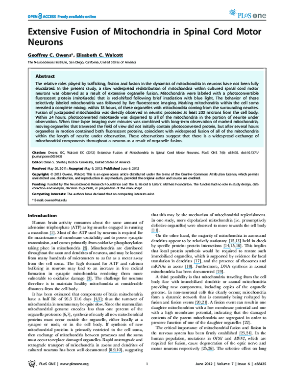 (PDF) Extensive Fusion of Mitochondria in Spinal Cord Motor Neurons