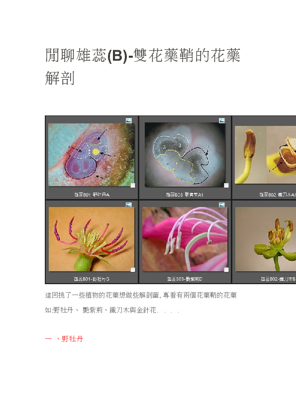 Doc Dithecal Anther Susan Peng Academia Edu