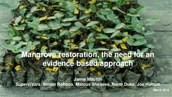 Mangrove destruction causes picture