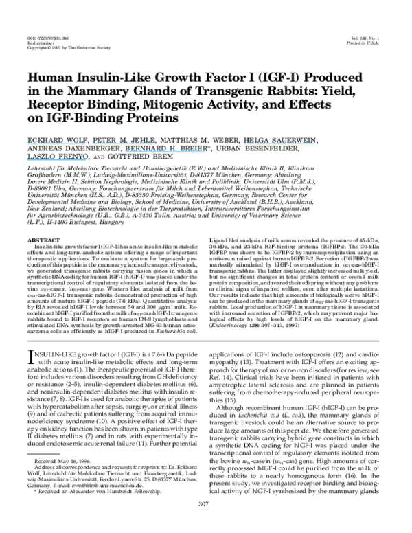 (PDF) Human Insulin-Like Growth Factor I (IGF-I) Produced in the ...