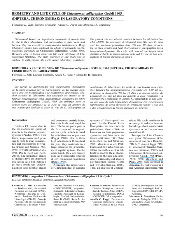 (PDF) BIOMETRY AND LIFE CYCLE OF Chironomus calligraphus Goeldi 1905 ...