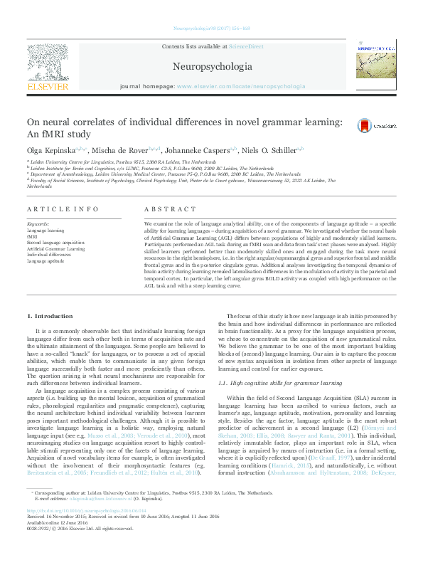 (PDF) On neural correlates of individual differences in novel grammar ...