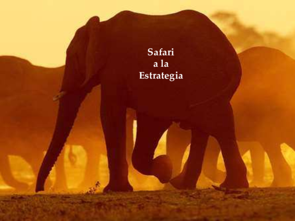 Safari A La Estrategia Pdf Completo www.academia.edu
