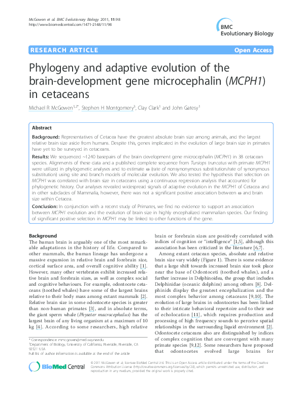 (PDF) Phylogeny and adaptive evolution of the brain-development gene ...