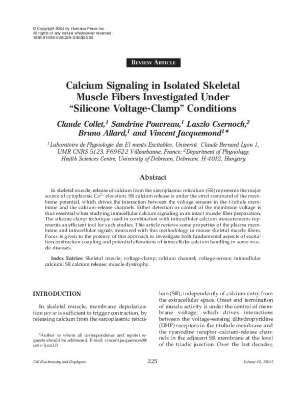 (PDF) Calcium Signaling in Isolated Skeletal Muscle Fibers Investigated ...