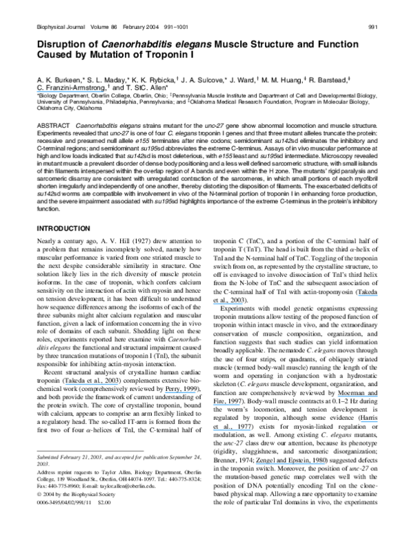 (PDF) Disruption of Caenorhabditis elegans Muscle Structure and ...
