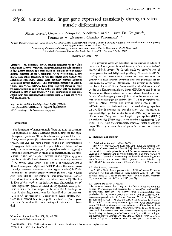 (PDF) Zfp60, a mouse zinc finger gene expressed transiently during in ...