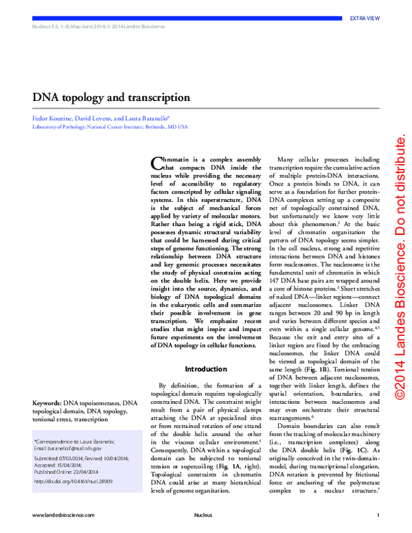 (PDF) DNA topology and transcription