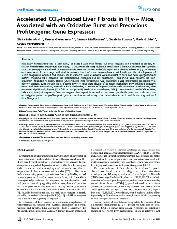 (PDF) Accelerated CCl 4 -Induced Liver Fibrosis in Hjv-/-Mice ...