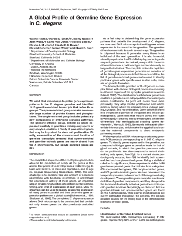 Genetic engineering essay grade 12 picture
