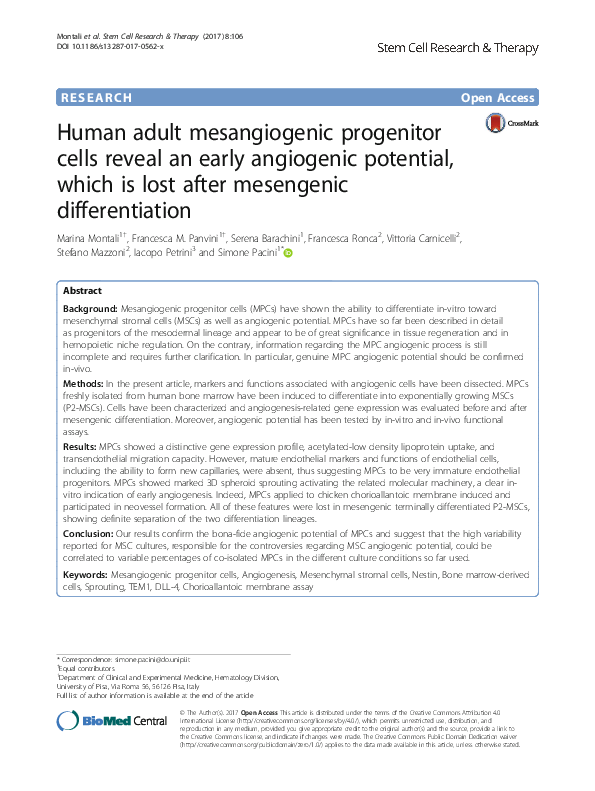 Angiogenic therapy essay 08 image