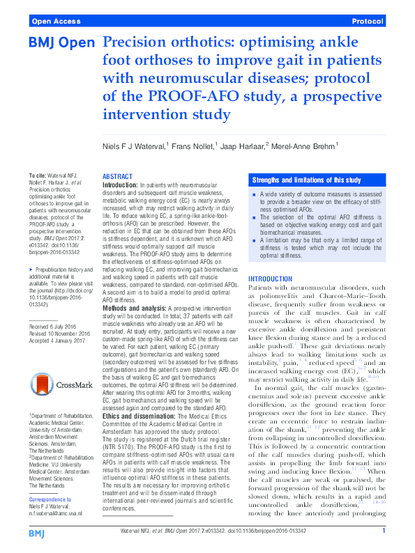 Orthoses intervention essay 02 image