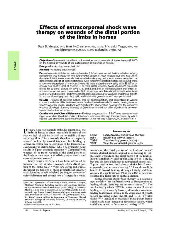 (PDF) Effects of extracorporeal shock wave therapy on wounds of the ...