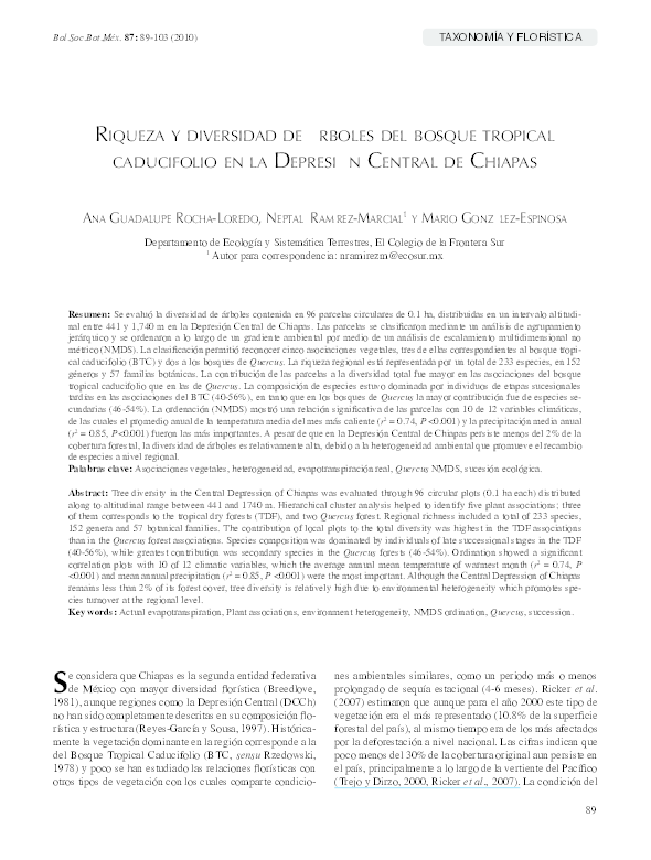 Bosque lluvioso essay 07 picture