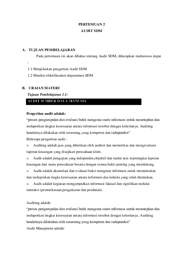 Pdf Pertemuan 2 Audit Sdm
