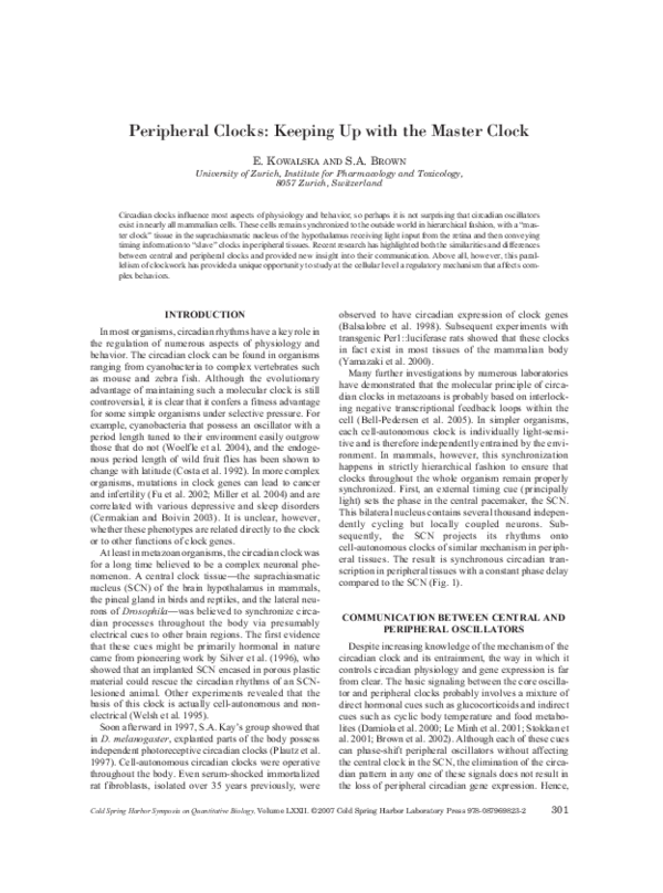 (PDF) Peripheral Clocks: Keeping Up with the Master Clock