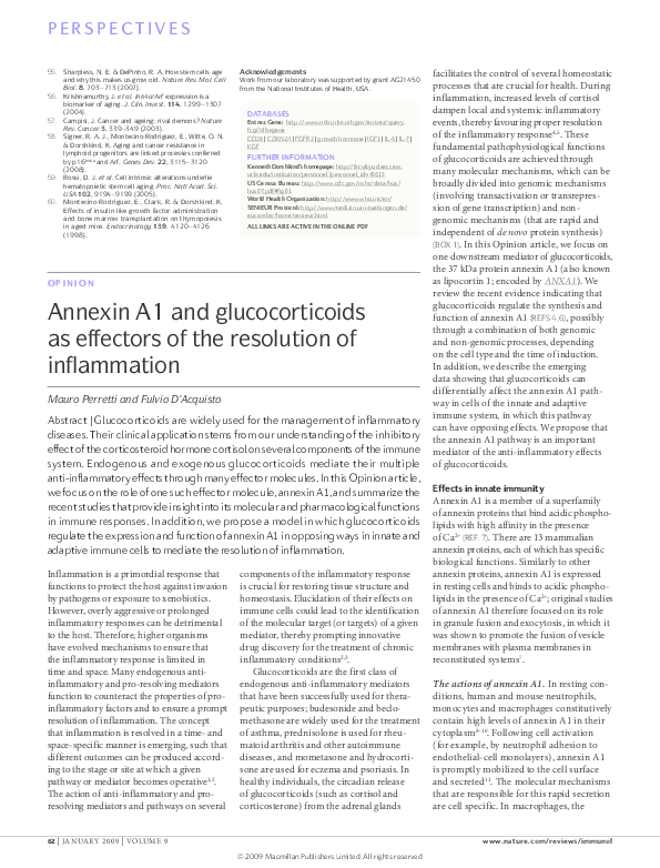 (PDF) Annexin A1 and glucocorticoids as effectors of the resolution of ...