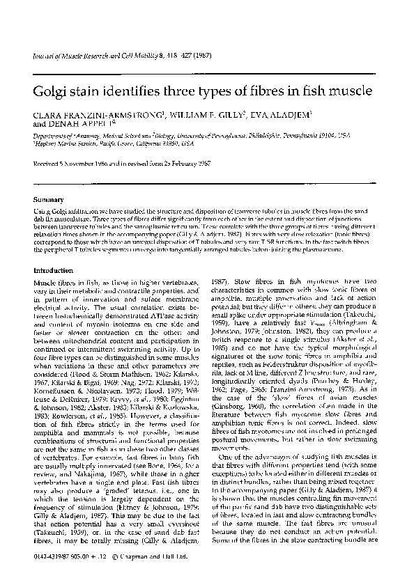 (PDF) Golgi stain identifies three types of fibres in fish muscle