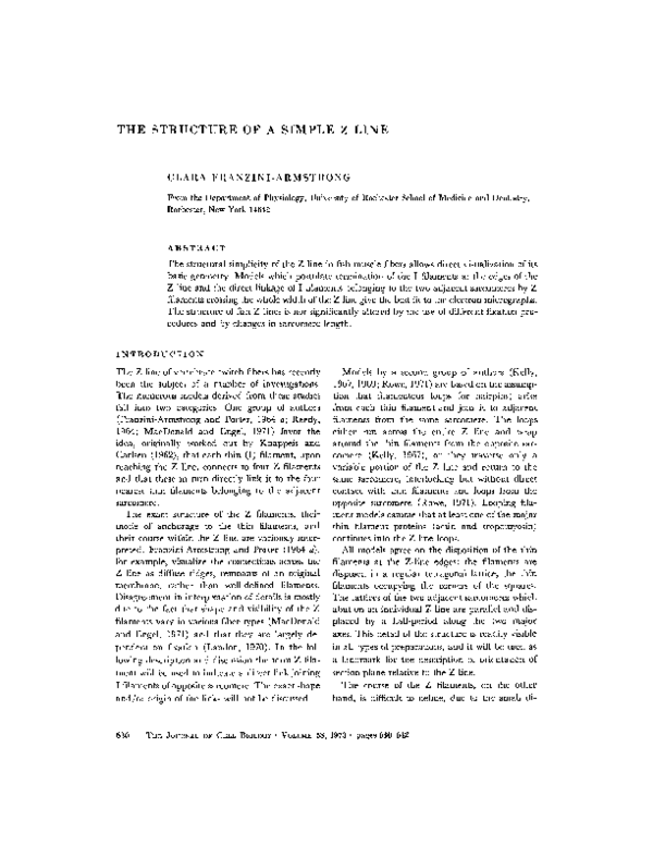 (PDF) The Structure of a Simple Z Line