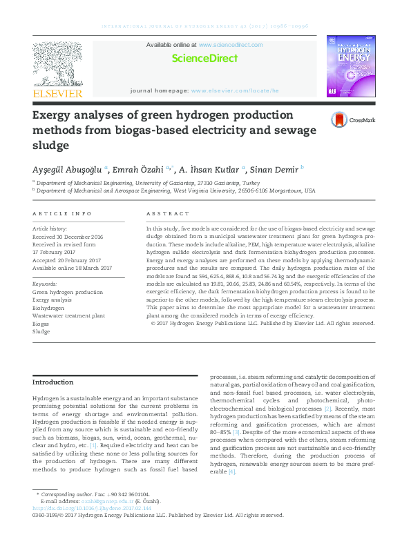 (PDF) Exergy analyses of green hydrogen production methods from biogas ...