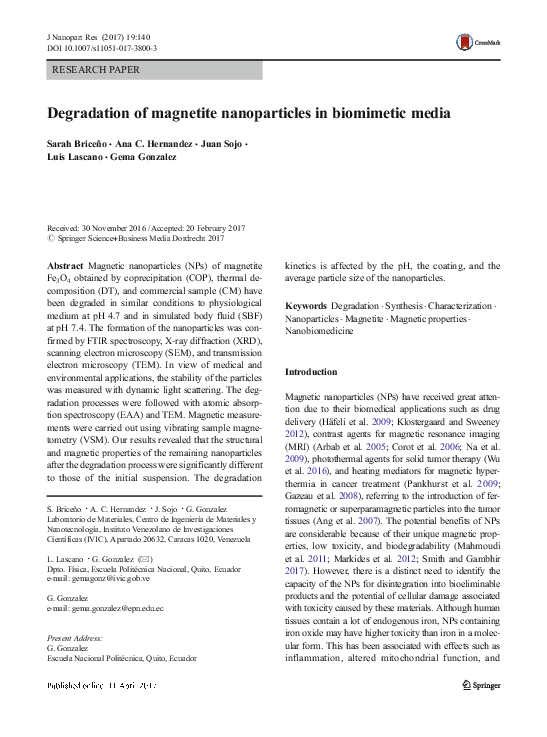 (PDF) Degradation of magnetite nanoparticles in biomimetic media