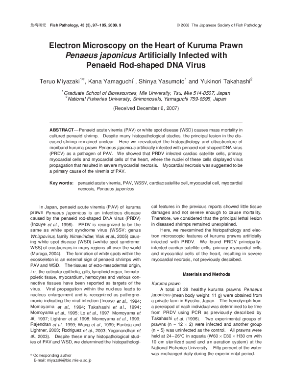 (PDF) Electron Microscopy on the Heart of Kuruma Prawn Penaeus ...