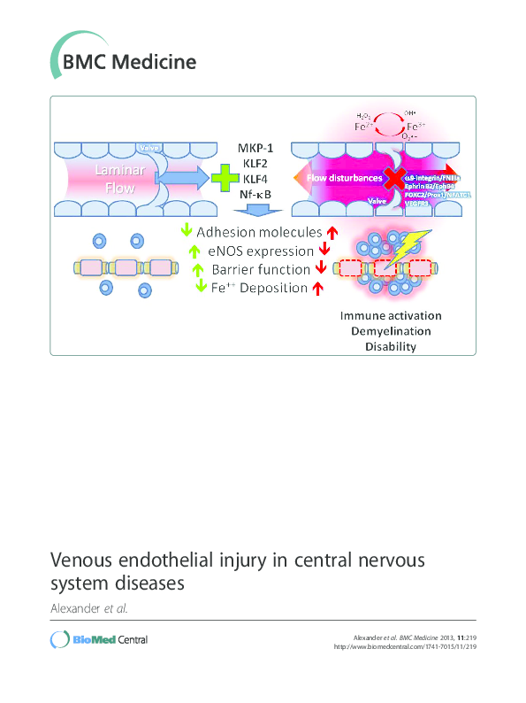 (PDF) Venous endothelial injury in central nervous system diseases