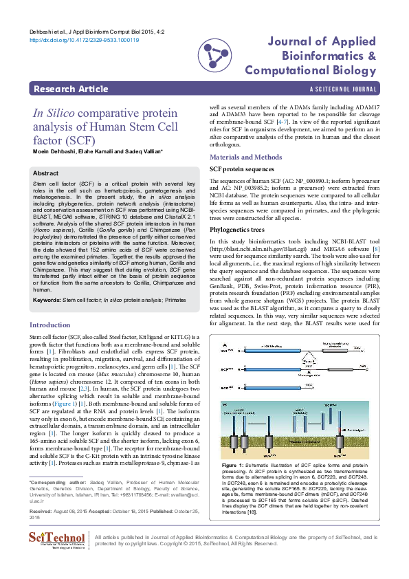 (PDF) In Silico comparative protein analysis of Human Stem Cell factor ...