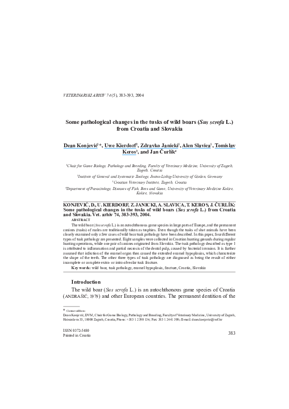 (PDF) Some pathological changes in the tusks of wild boars (Sus scrofa ...