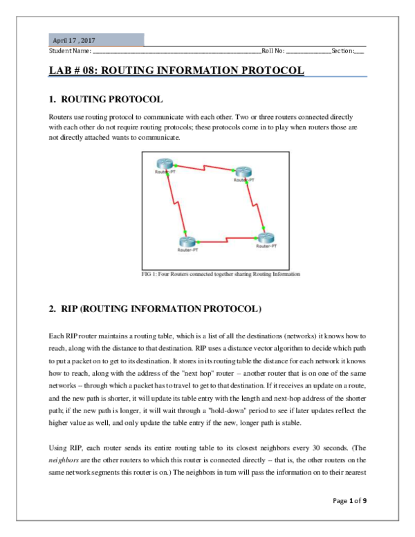 (PDF) LAB # 08: ROUTING INFORMATION PROTOCOL 1. ROUTING PROTOCOL