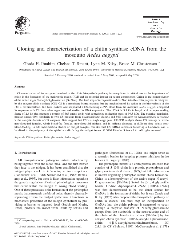 (PDF) Cloning and characterization of a chitin synthase cDNA from the ...