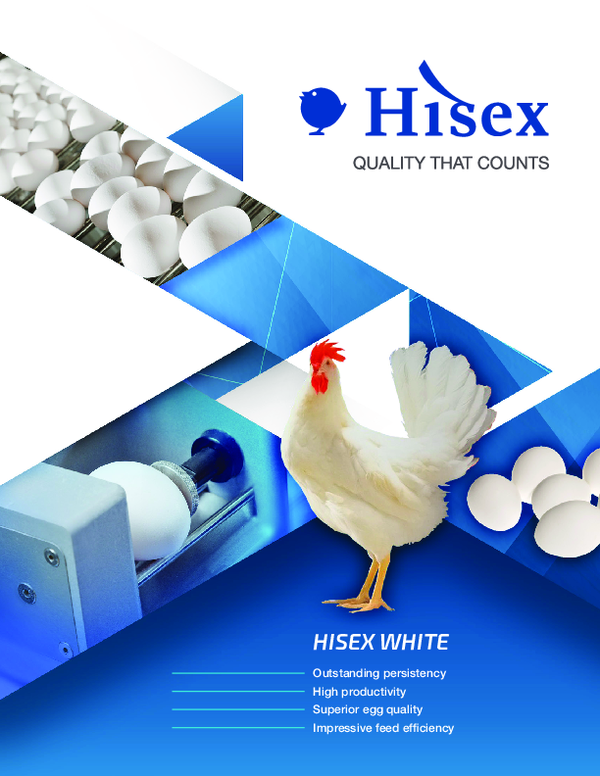 Gurren Lagann Simon va Niya porno