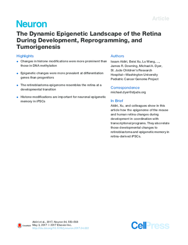 (PDF) The Dynamic Epigenetic Landscape of the Retina During Development ...