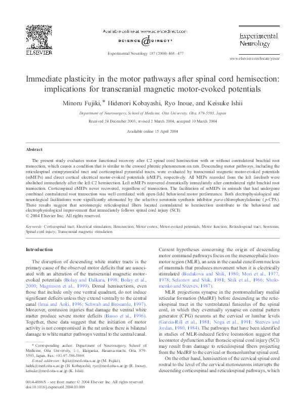 (PDF) Immediate plasticity in the motor pathways after spinal cord ...