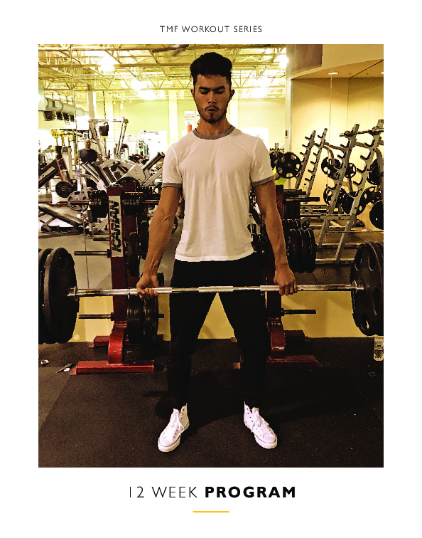 12 Week Gym Workout Plan Pdf EOUA Blog