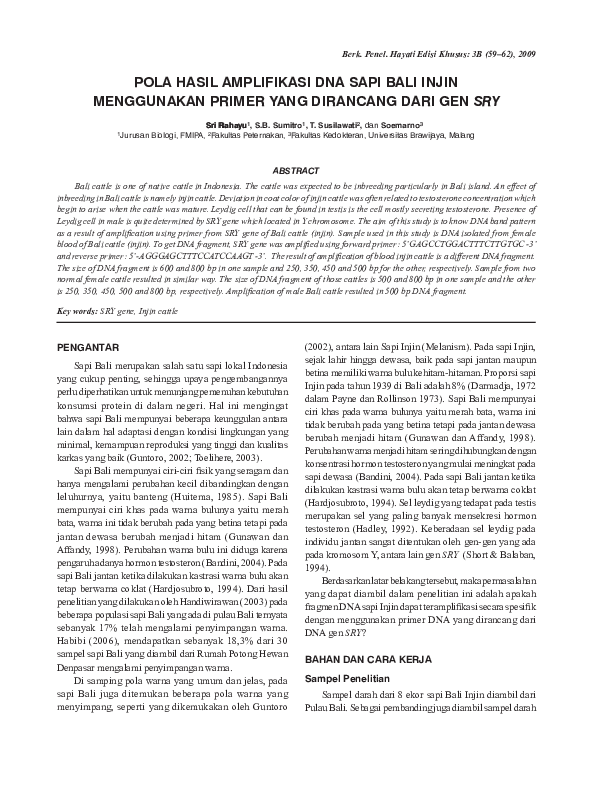 (PDF) Pola Hasil Amplifikasi Dna Sapi Bali Injin Menggunakan Primer Ya ...