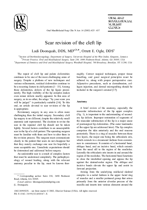 The cleft essay 02 image