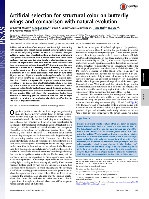 (PDF) Artificial Selection for Structural Color on Butterfly Wings and ...