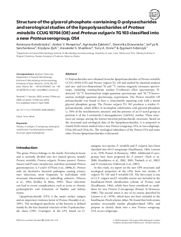 Proteus vulgaris treatment picture