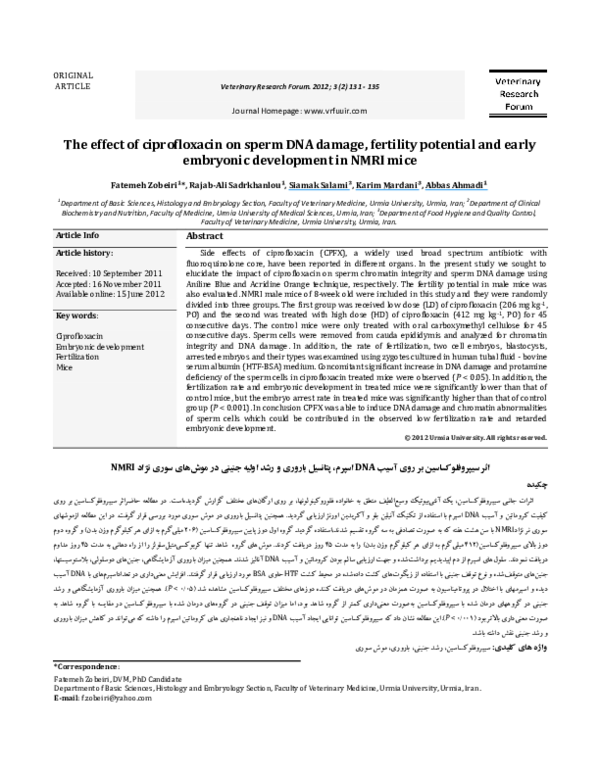 ciprofloxacin pbs online